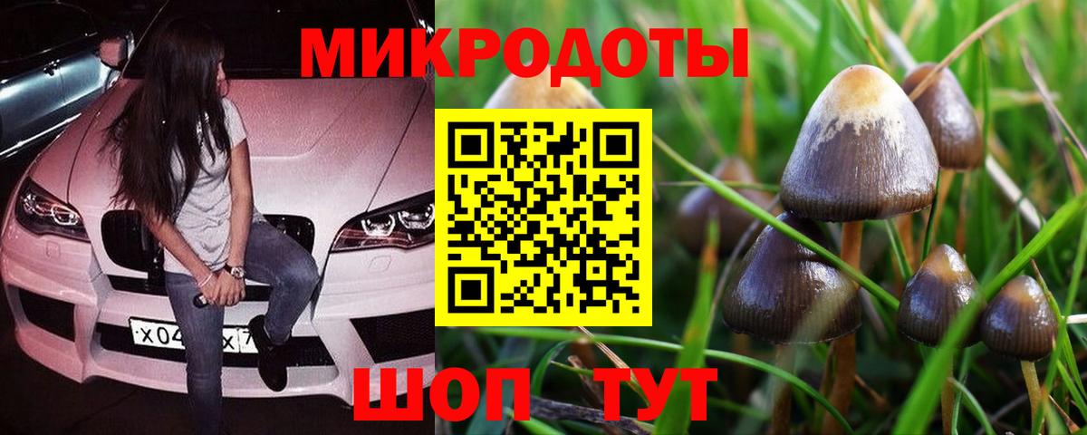 Галлюциногенные грибы GOLDEN TEACHER  Вход с VPN  Соль-Илецк 